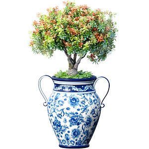 Decorative flowering garden tree plant in Italian floor vase