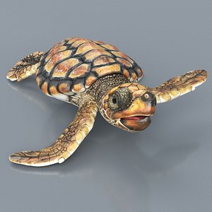 Baby Sea Turtle Brown Walking Rigged For Maya Animated 3D model