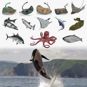 Rigged Fishes 3D Models Collection 3
