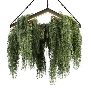 3D model plant vol 936 - hanging - ivy - Fern - Chandelier