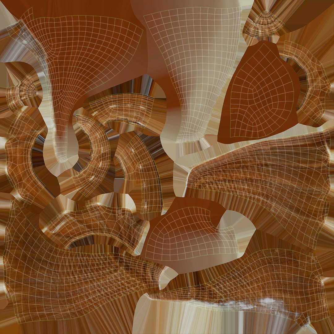 Sea Shell Collection 3D Model - TurboSquid 2076830