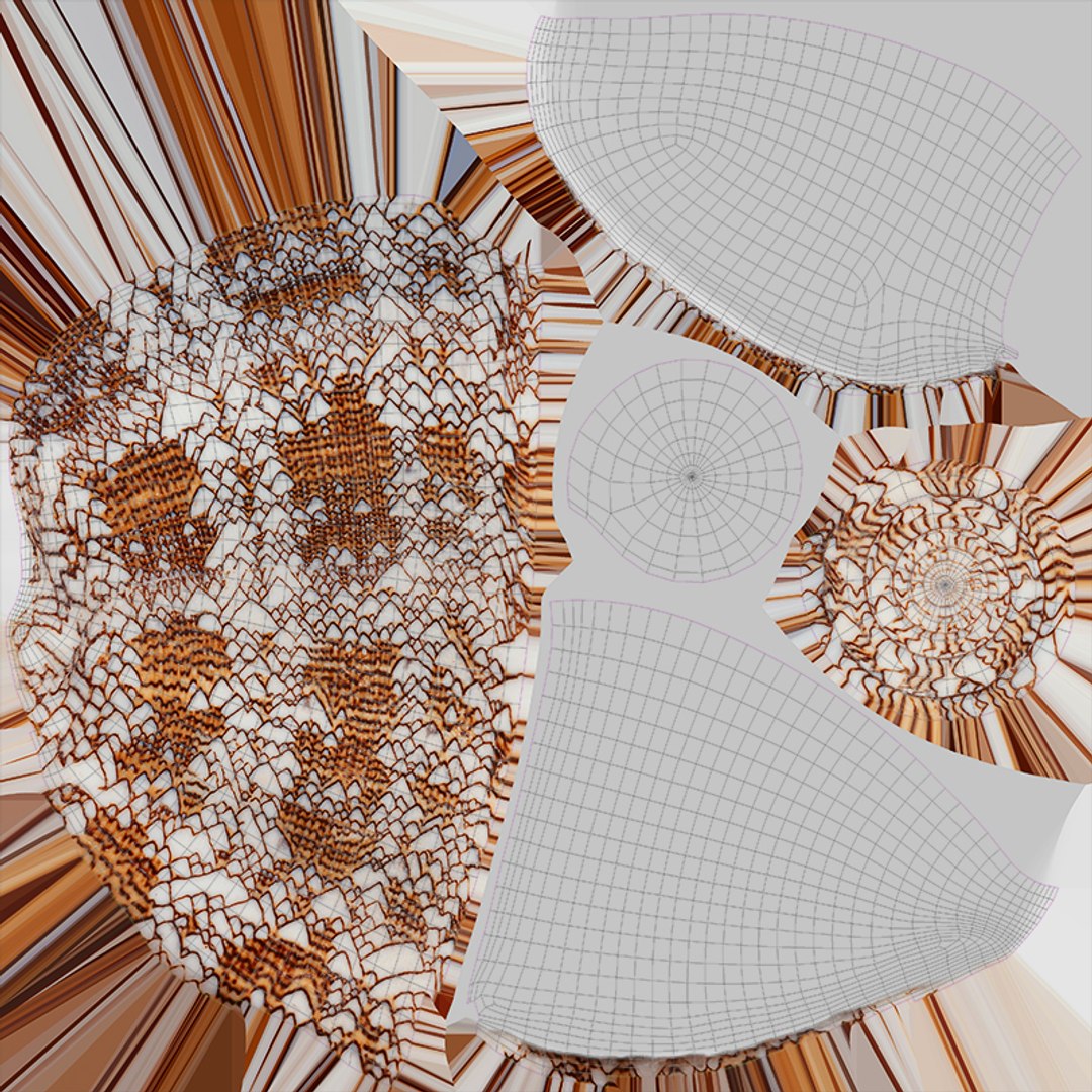 Sea Shell Collection 3D model - TurboSquid 2076830