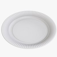 Cardboard Plate
