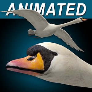 Swan  Flying