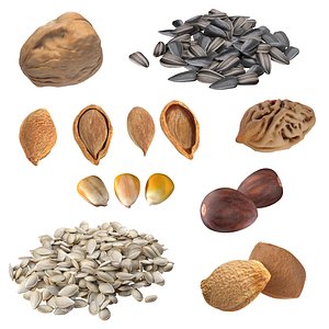 3D Seed Collection v2 model