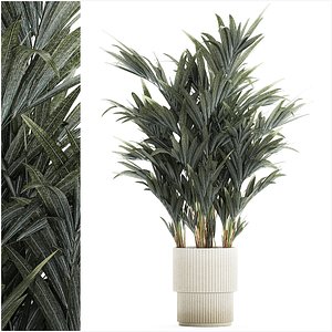 3D Beautiful palm tree in a flower pot for decoration 1281 model