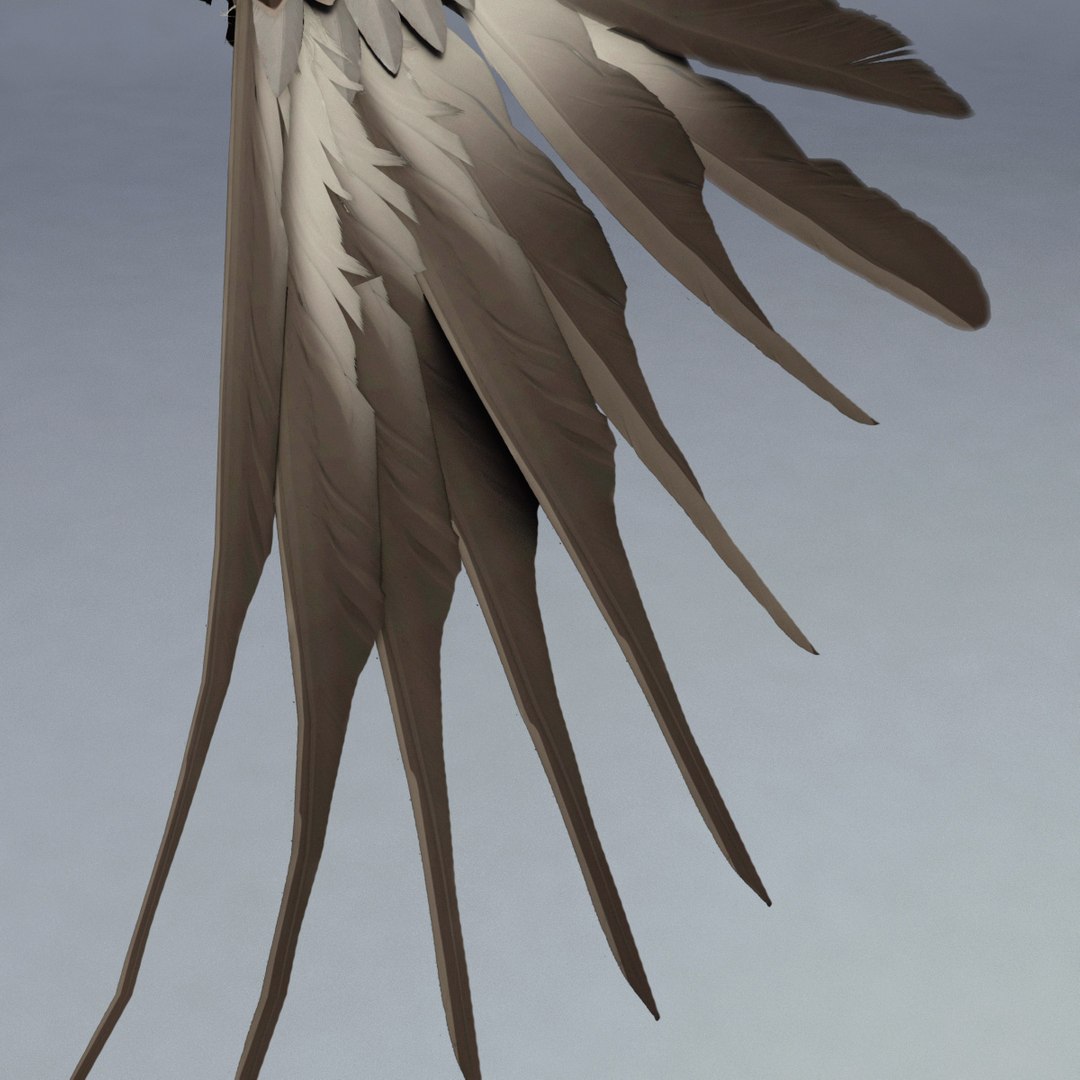 bald eagle rigged max https://p.turbosquid.com/ts-thumb/Uc/bfZ368/Bl39GHHF/bald_eagle_rigged_34/jpg/1307112256/1920x1080/fit_q87/80d31e12f3864fe8c01349d53889b159ec87c018/bald_eagle_rigged_34.jpg