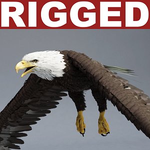 Bald Eagle Rigged