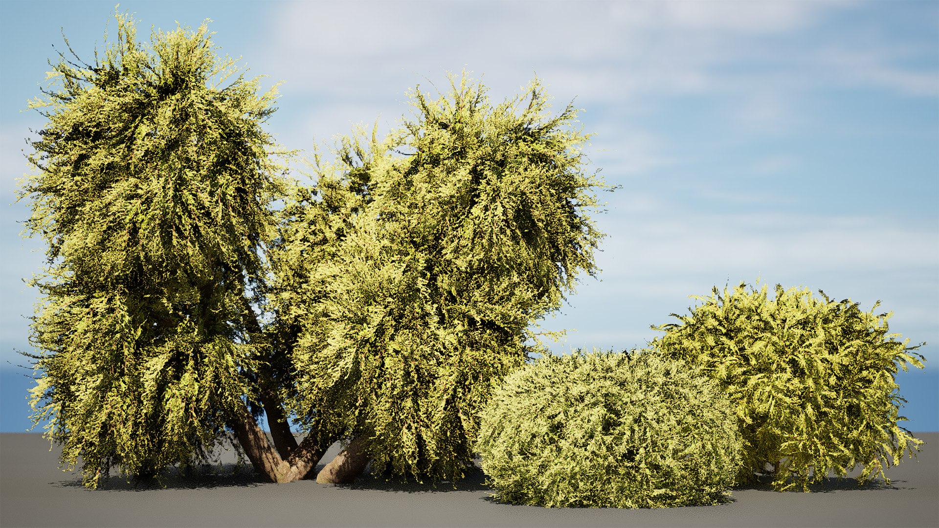 Golden Mop False Cypress bush with different shapes 3D https://p.turbosquid.com/ts-thumb/Uc/e8tQng/pc/fd/jpg/1706226995/1920x1080/fit_q87/107f4dfd85e96fa77525bef9e0119e97762f171b/fd.jpg