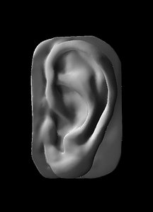 ear polys 3D model