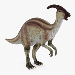 3D Parasaurolophus Dinosaur Rigged