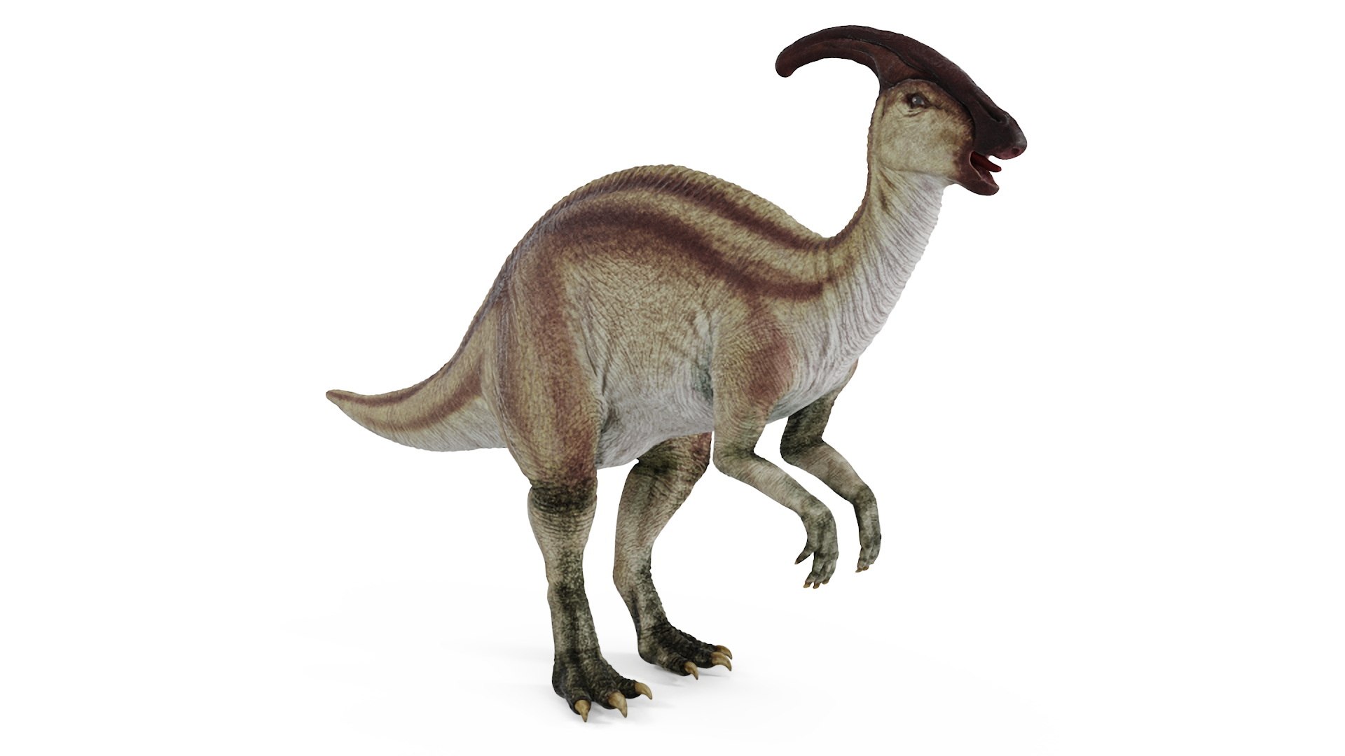 Herbivorous Dinosaurs Rigged Collection 2 3D model preview