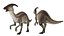 3D Parasaurolophus Dinosaur Rigged