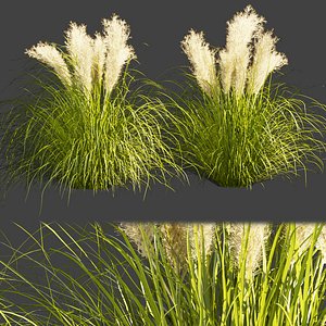 Collection plant vol 385 - grass - outdoor - foliage - blender - 3dmax - cinema 4d 3D