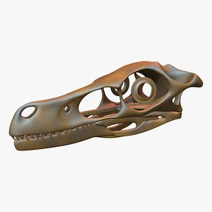 3D velociraptor skull