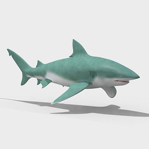 3D bull shark model