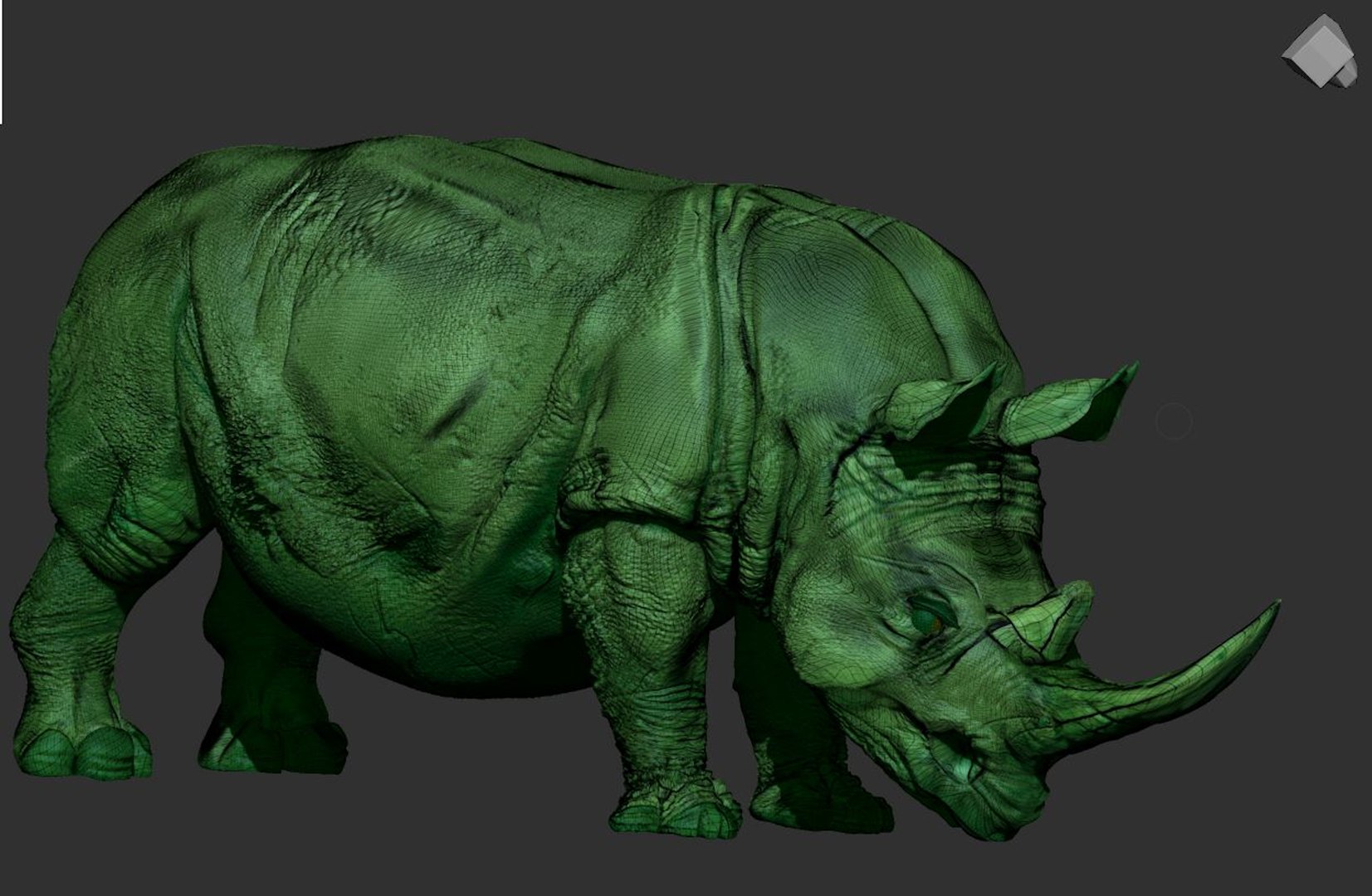 rhino 到 zbrush