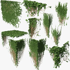 3D ivy p3 01