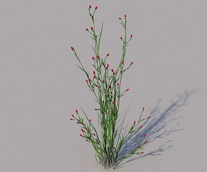 3D grass