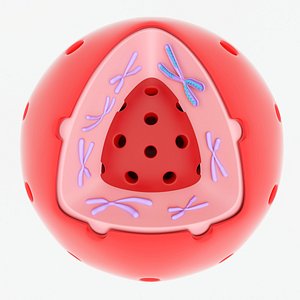 Core cell