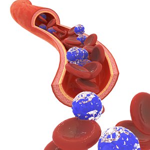 Blood Cells