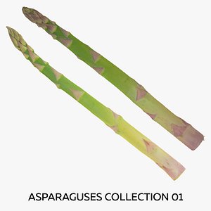 3D Asparaguses Collection 01 - 2 models RAW Scans