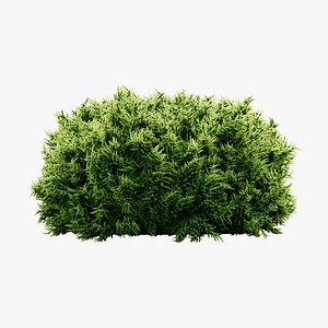 3D Moss 01