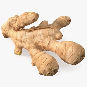 Raw Ginger Root 3D model