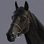 horse animations 3d model