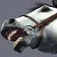 horse animations 3d model