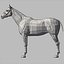 horse animations 3d model