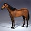 horse animations 3d model