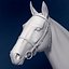 horse animations 3d model