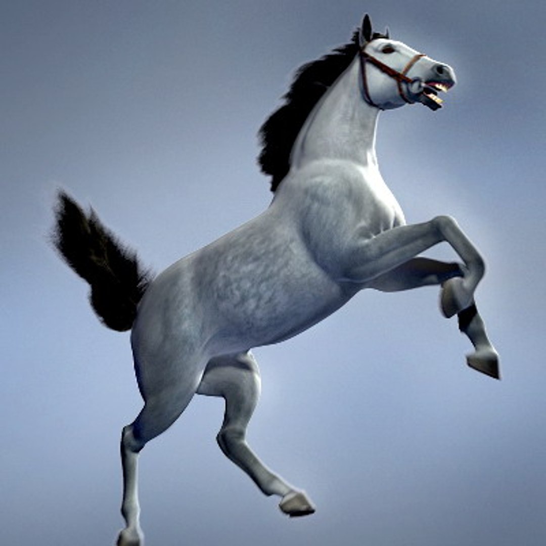 horse animations 3d model https://p.turbosquid.com/ts-thumb/Ue/9onDnD/QLxRqapA/13/jpg/1145439195/1920x1080/fit_q87/e2e6fc47cc64a53608b43da08e2f789e67892c1a/13.jpg