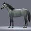 horse animations 3d model