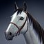 horse animations 3d model