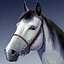 horse animations 3d model