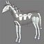 horse animations 3d model