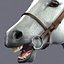 horse animations 3d model