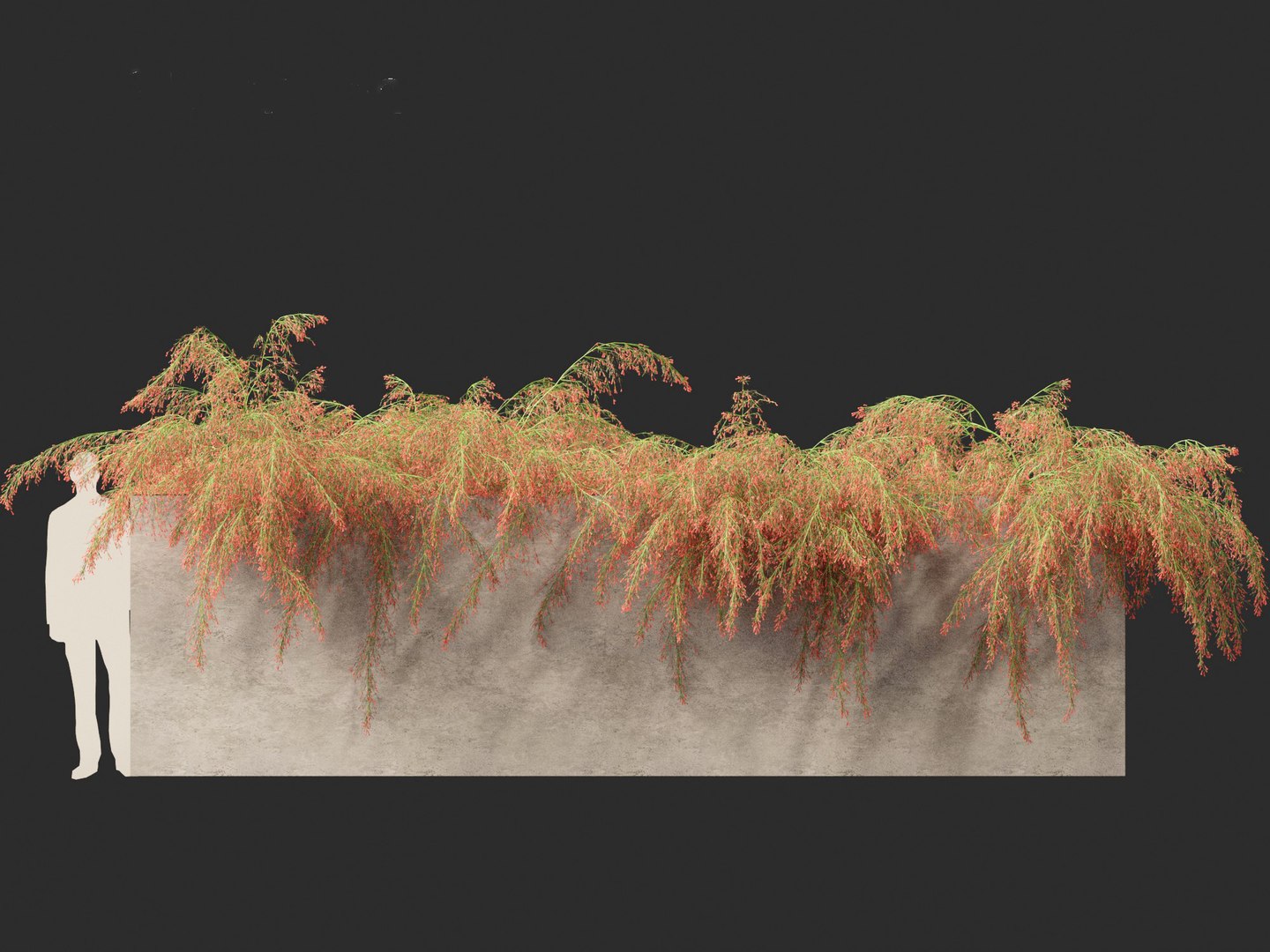 3D Russelia equisetiformis - Coral Plant Firecracker model https://p.turbosquid.com/ts-thumb/Ue/BzqHij/PX/russeliaequisetiformis0110/jpg/1695028816/1920x1080/fit_q87/8fe65485160df9f55261448560983d6eefaec1f4/russeliaequisetiformis0110.jpg