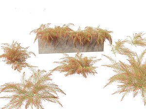3D Russelia equisetiformis - Coral Plant Firecracker model