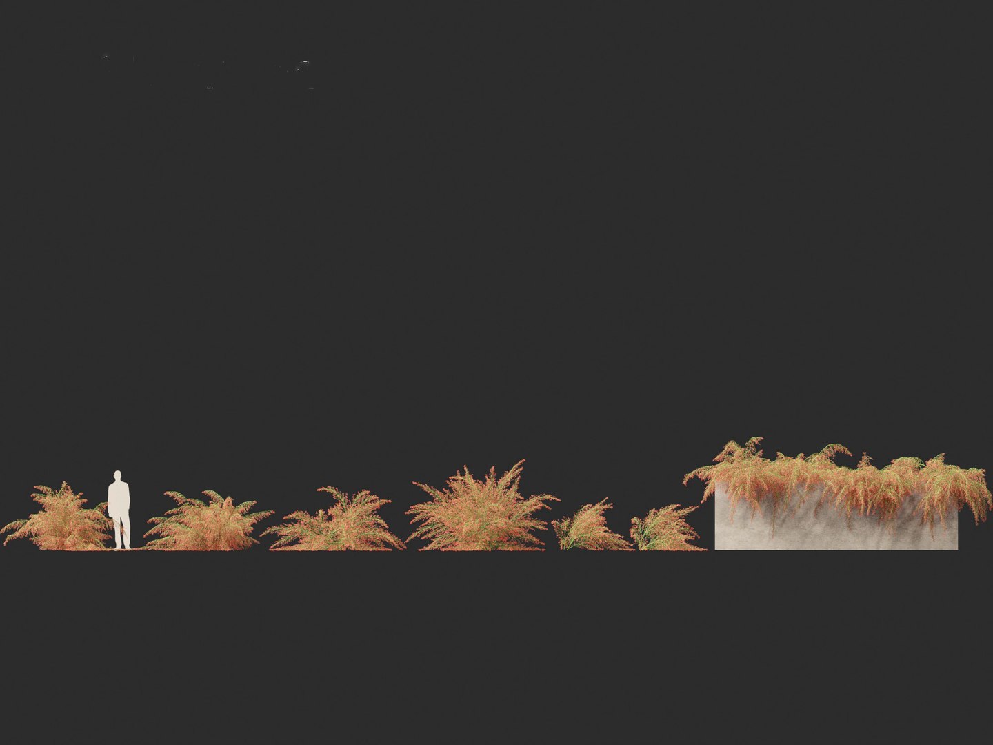 3D Russelia equisetiformis - Coral Plant Firecracker model https://p.turbosquid.com/ts-thumb/Ue/BzqHij/xq/russeliaequisetiformis012/jpg/1695028747/1920x1080/fit_q87/d5c3a967d67c823f829277da3f704cc9effc3387/russeliaequisetiformis012.jpg