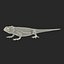3d bearded dragon rigged model