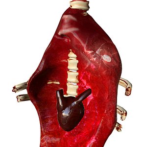 Spine on hook