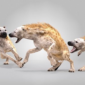 spotted hyena rig animation 3d max