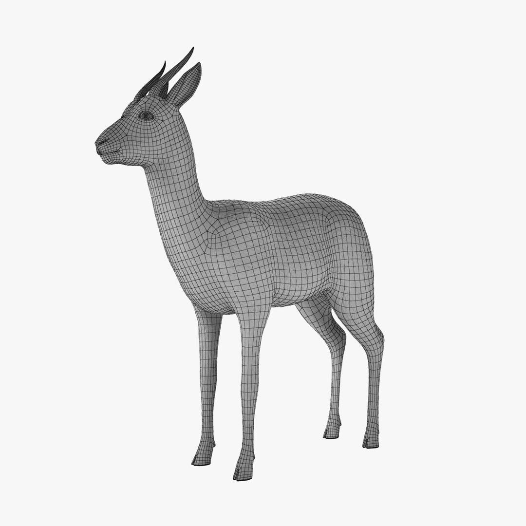 3d model fawn gazelle https://p.turbosquid.com/ts-thumb/Ue/fajE9A/oPMMZtet/gazelle_v009_fawn_nofur.0001/jpg/1458851465/1920x1080/fit_q87/aa4d772f16104999a17057ab891ab2f29d5efa61/gazelle_v009_fawn_nofur.0001.jpg