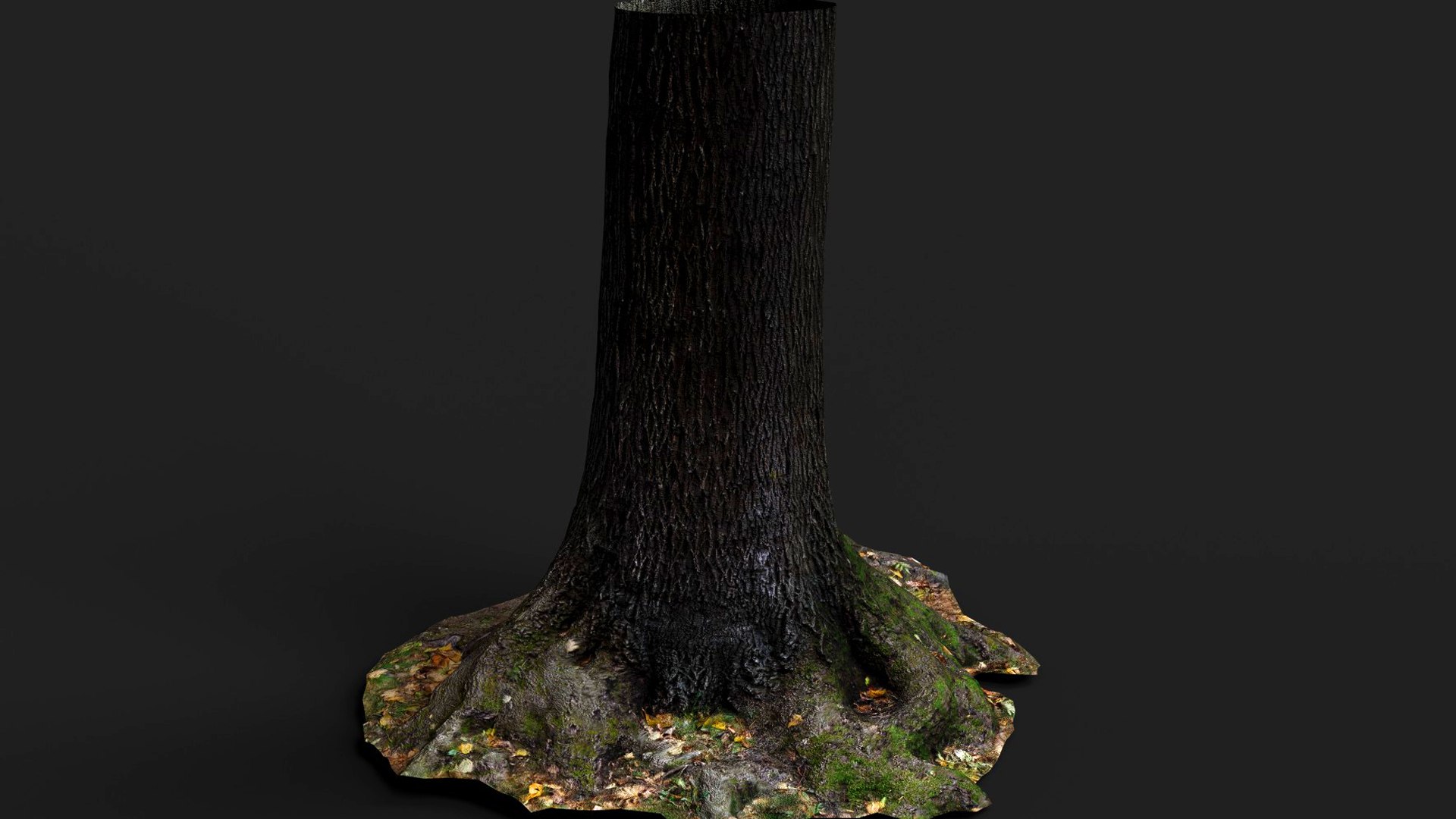 3D model tree bark wide trunk part PBR photogrammetry https://p.turbosquid.com/ts-thumb/Ue/o7iGds/LZ/preview6/jpg/1756111225/1920x1080/fit_q87/92dbb37f93d5e64d30a8b5c1a9f0d1a92c33e4e2/preview6.jpg