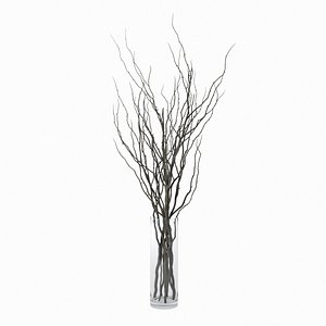 3D model branches vase