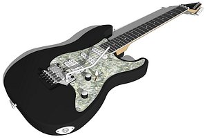Washburn WG-500