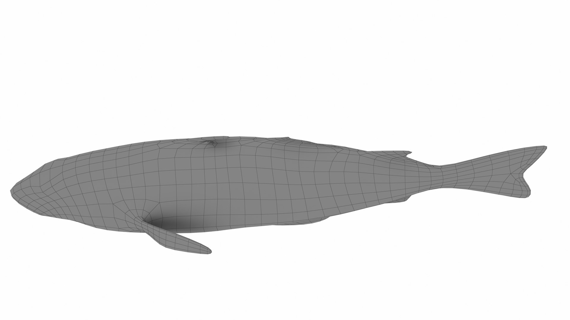 Haddock Fish 3D Model - TurboSquid 2380385